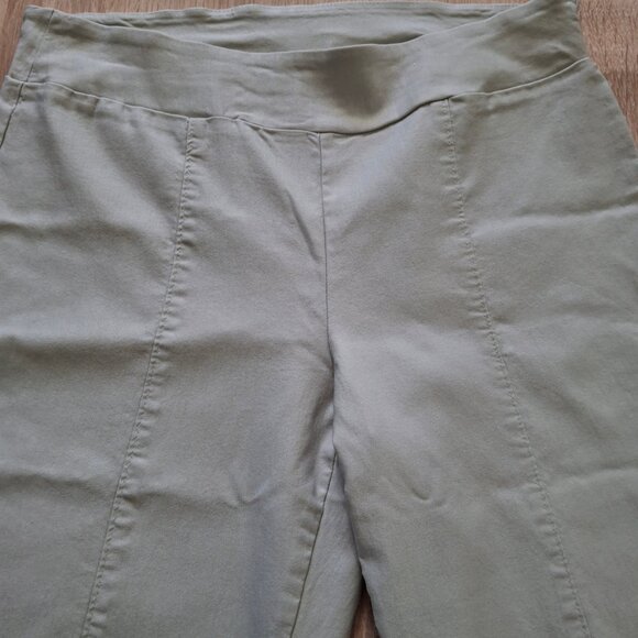 Women's Chapter One Beige Pullon Stretch Cropped Tapered Pants Size 10 Cropped - Picture 6 of 9